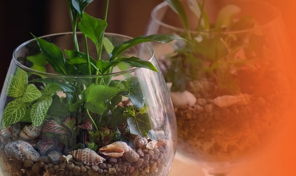 Wine Glass Nature Terrarium Workshop