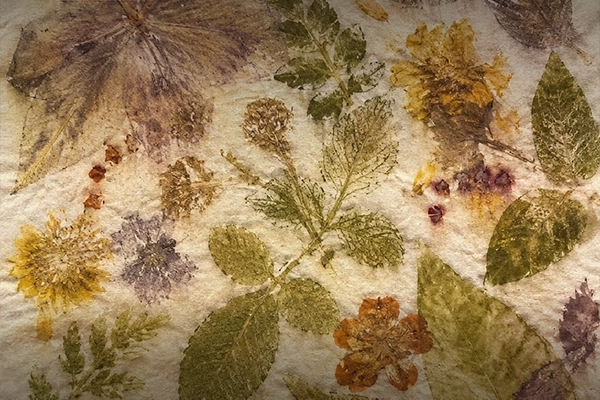 KNMA Art Hours | Nature Imprints