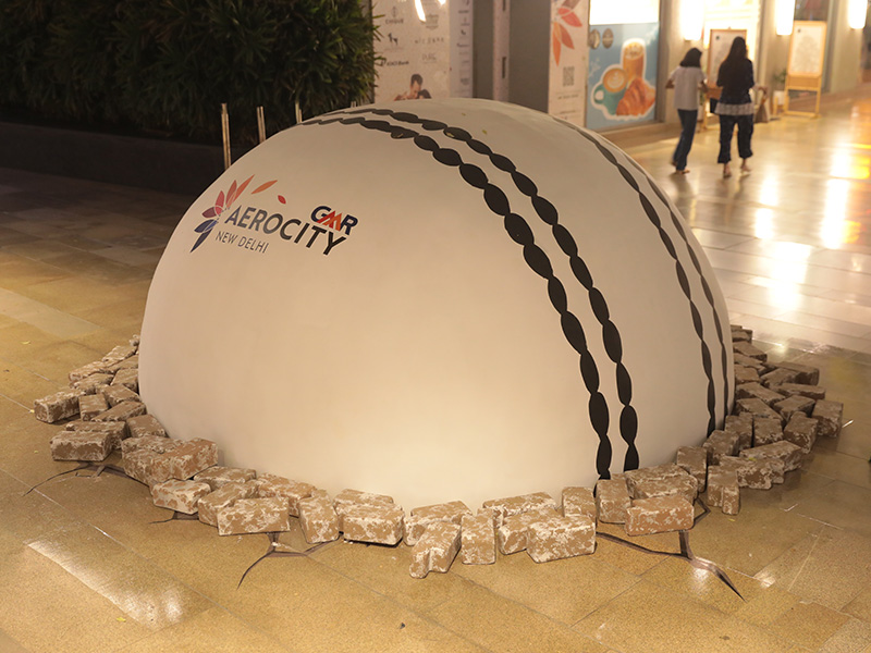 Cricket Screening Gallery