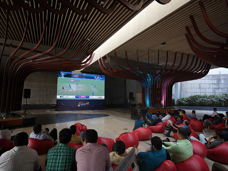 Cricket Screening Gallery