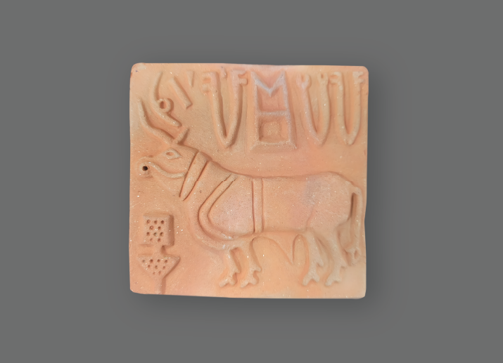 From Rivers to Skies: Rakhigarhi & Aerocity’s Living Urban Continuum